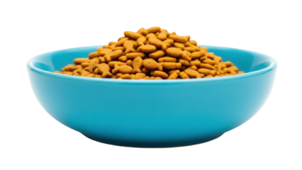 Isolated turquoise bowl with a mound of dry brown cat food, shaped like small fish pellets