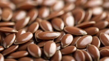 Close Up Pile of Brown Flax Seeds