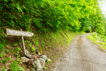 250531結東の石垣田