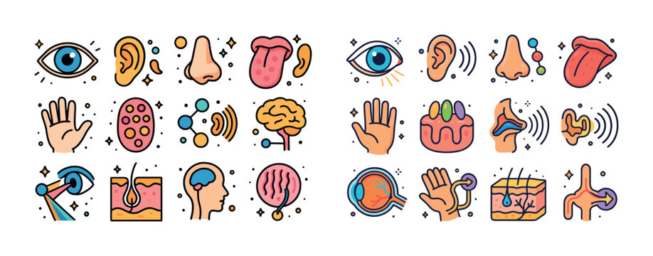 Colorful icons representing human senses and organs for educatio
