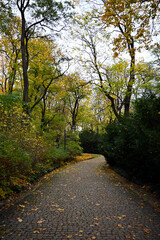 Autumn, fall time in Warsaw's Royal Baths Park. Warsaw, Poland