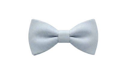 Striped Blue Bow Tie Isolated on White