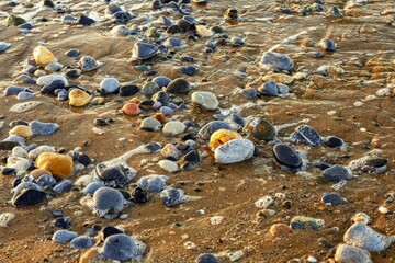 Many wet rounded color pebble on beach sand.
