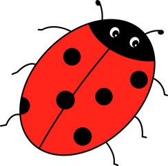 Obraz premium Ladybug vector illustration. Ladybug on white background. 