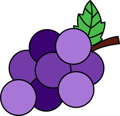 Bunch of grapes. Set of leaves, bunch of grapes in simple flat style. Bunch of purple grapes with stem and leaf. Cartoon style. 