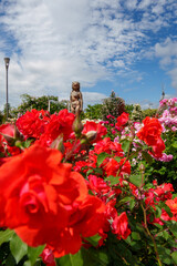 250604一本木公園