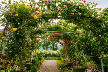 250604一本木公園