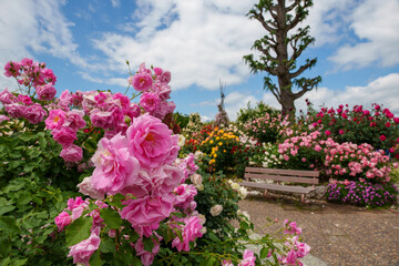 250604一本木公園