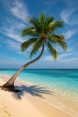 Tropical vacation beach with palm tree and crystal water