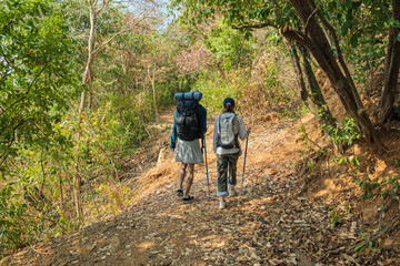 Obraz premium Travel young couple hike walk forest trail, people discover nature mountain path, enjoying outdoor activity, healthy lifestyle journey, tranquil woodland exploration