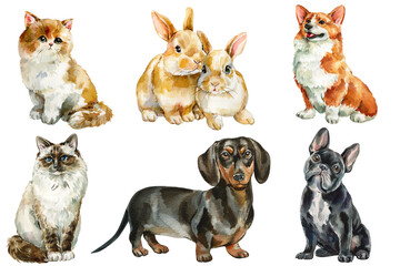 Fototapeta premium Watercolor cute pets cats dogs rabbits set isolated animal clipart for kids nursery wall art and greeting cards
