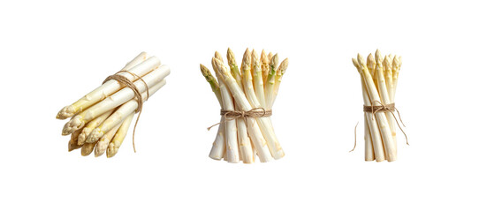 Fresh, green asparagus spears are arranged separately on a white background