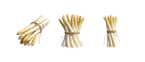 Fresh, green asparagus spears are arranged separately on a white background