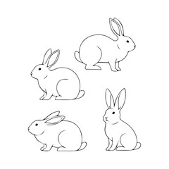 Minimalist Bunny Illustration Line Art