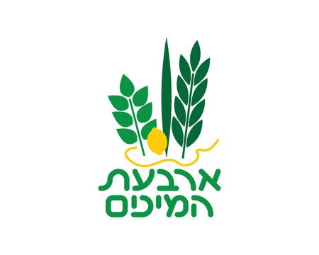 Jewish Four species illustrations - Etrog, Lulav, Hadas, Aravah and Hebrew Four species