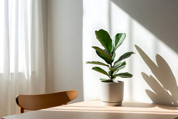 A minimalist flat lay of green leaves with dew drops on a white surface, in a serene, natural style.