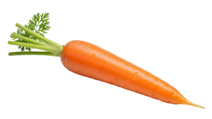 One fresh vibrant orange carrot with green leafy tops isolated on a stark black background showcasing its natural texture and healthy organic appearance