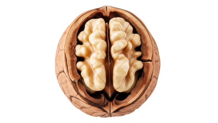 Half walnut isolated PNG on transparent background, shelled nut with kernel for healthy snack and ingredient use