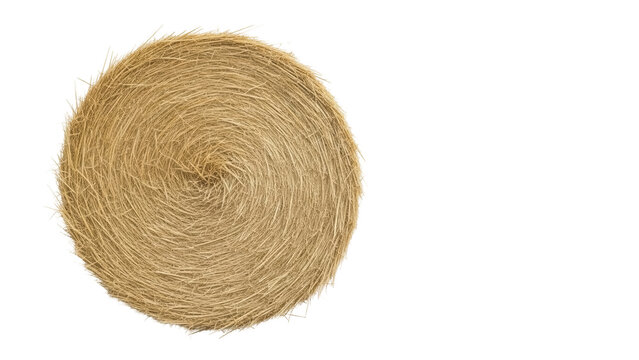 Golden hay bale isolated PNG, round straw roll for agriculture and farming, rural countryside harvest symbol on transparent background