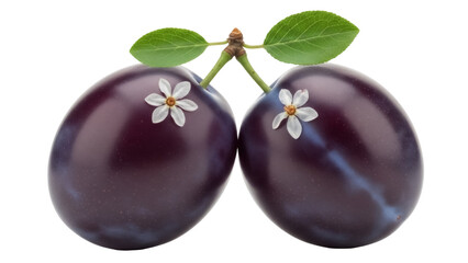 Two fresh plums with leaves and flowers isolated PNG, ripe purple fruits on transparent background for healthy eating and summer designs