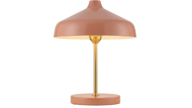 Elegant salmon-colored table lamp isolated PNG, modern lighting fixture with gold accents for interior design and home decor