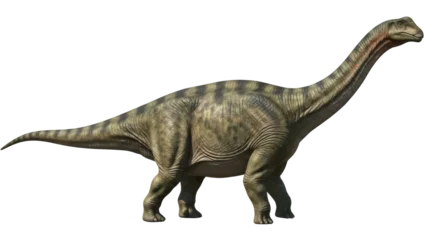Fotobehang Dinosaurussen Brontosaurus dinosaur isolated PNG on transparent background, long-necked herbivore with mottled green and brown skin, prehistoric creature  © Jn