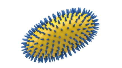 Yellow spiky massage ball PNG isolated on transparent background, acupressure tool for relaxation and physical therapy
