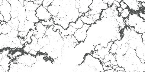 Cracked dry earth texture with dark grey lines and dots on white background abstract
