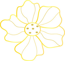 Golden Outer line Peony flower