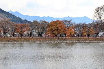 창원 진해내수면 생태공원 가을 풍경시리즈