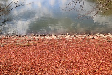 창원 진해내수면 생태공원 가을 풍경시리즈