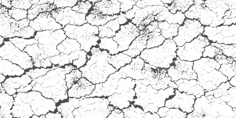 Cracked dry earth surface texture black and white