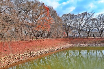 창원 진해내수면 생태공원 가을 풍경시리즈