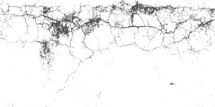 Black cracks and speckles on a white textured background grunge cracked surface