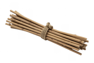 Bunch of wooden sticks tied with rope firewood kindling isolated on a transparent background