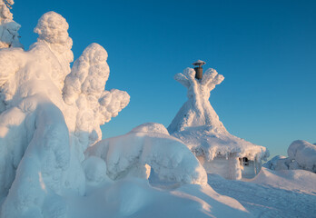 View of snow-laden trees and building, sculpted by wind and weather, stand starkly against the crisp blue sky, creating a winter wonderland, Kuusamo, Norra Osterbotten, Finland.