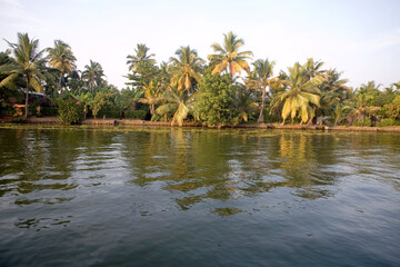 Obraz premium tropical island with palm trees