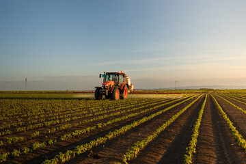 Tractor spraying crops in a lush green field at sunset.