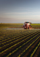 Tractor spraying crops in a lush green field at sunset.