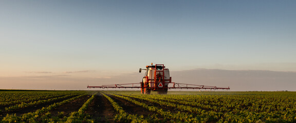 Tractor spraying crops in a lush green field at sunset.