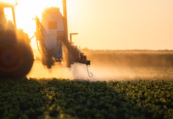 Tractor spraying crops in a lush green field at sunset.