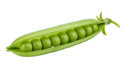Fresh Pea Pod with Green Spheres on Black Background