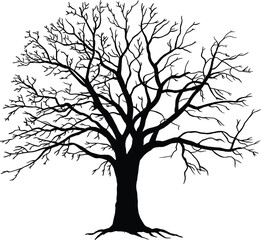 tree, silhouette, branches, nature, winter, leafless, forest, botanical, landscape, bare tree, environment, outdoors, natural, trunk, roots, seasonal, ecology, isolated, graphic, illustration