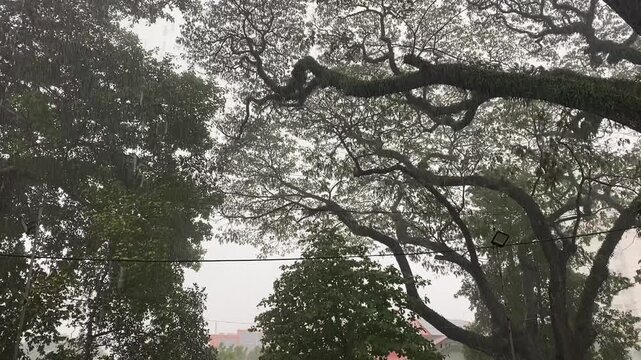 Heavy rains in Sri lanaka In colombo 