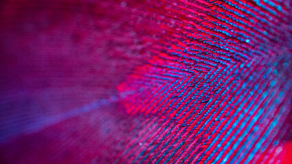 View of textured patterns in vibrant hues of red and blue, creating a mesmerizing abstract scene with light and shadow, Portland, Oregon, United States.