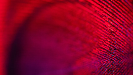 View of vibrant red threads intertwine, casting shadows and light in a mesmerizing dance of texture and color, Portland, Oregon, United States.