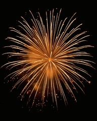 Exploding light fills the sky as celebration burst with golden streams. 