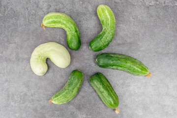Green and white cucumbers arranged in a flower shape on a gray countertop. Cooking in the kitchen