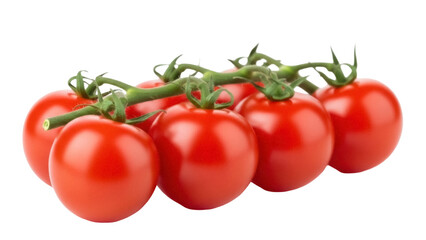 Isolated Fresh Cherry Tomatoes on the Vine Ready for Cooking, Salad or Snacking in the Garden