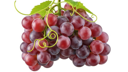 Isolated Cluster of Red Grapes with Leaves, Healthy Fruit, Antioxidant Food, Deliciousness